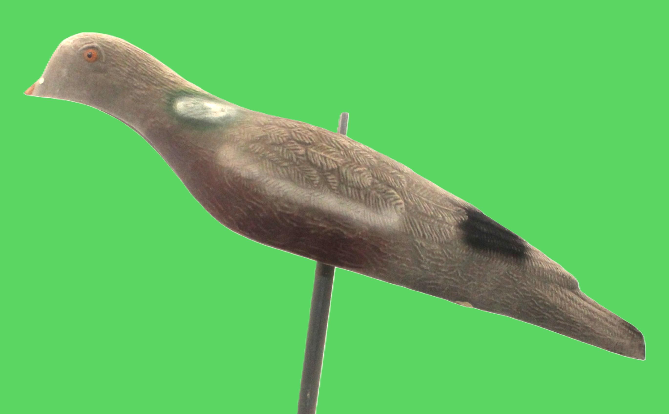 Flocked Shell
